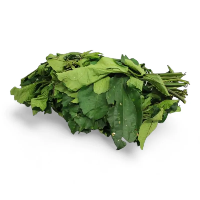 Fresh Ugu Leaves – Fluted Pumpkin Leaves