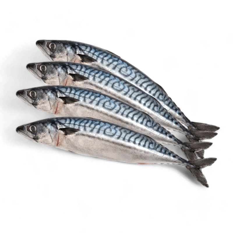 Frozen Mackerel