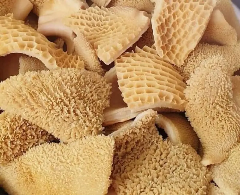 Shaki (Cow Tripe)