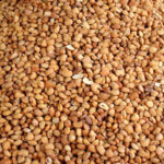 Nigerian Brown (Olotu) Beans 5 kg