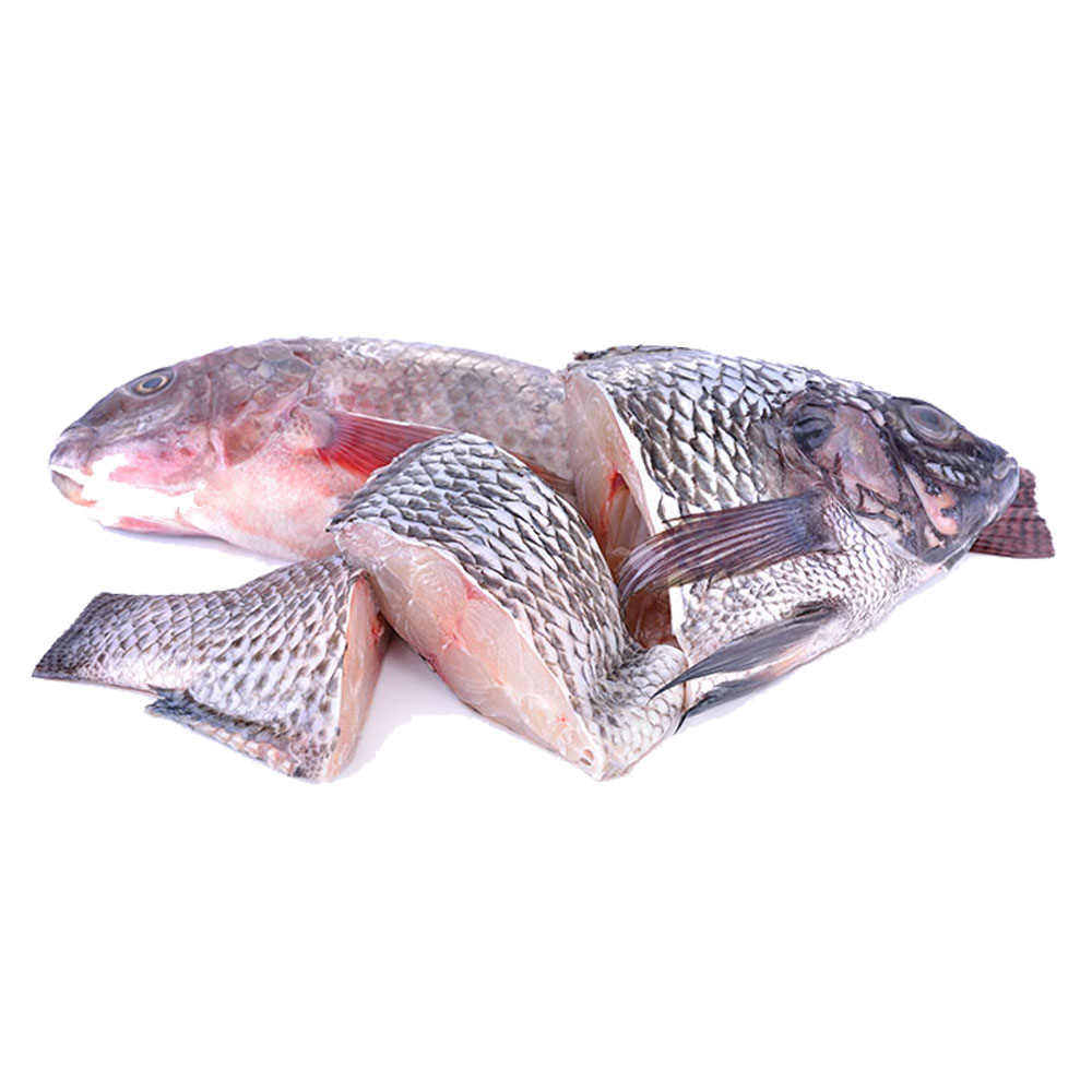 Tilapia Steak